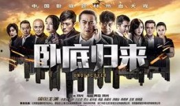 在线观看卧底,揭秘网络世界的正义之战